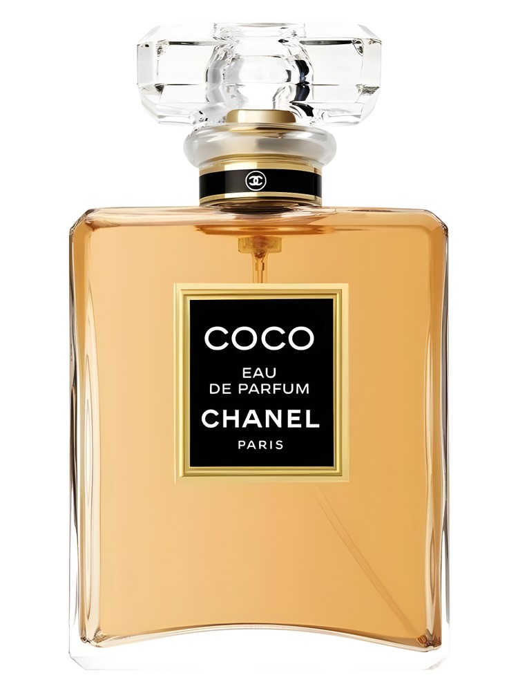 coco-eau-de-parfum-chanel عطر ادکلن شنل کوکو ادوپرفیوم Coco Eau de Parfum Chanel - تصویر 1