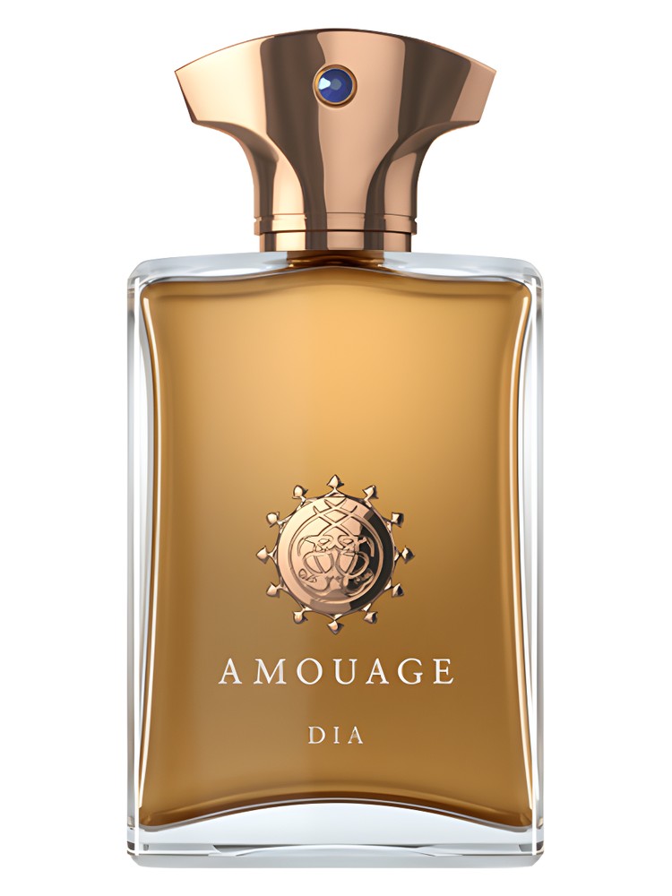 dia-man-amouage عطر ادکلن آمواج دیا مردانه Amouage Dia Man - تصویر 1