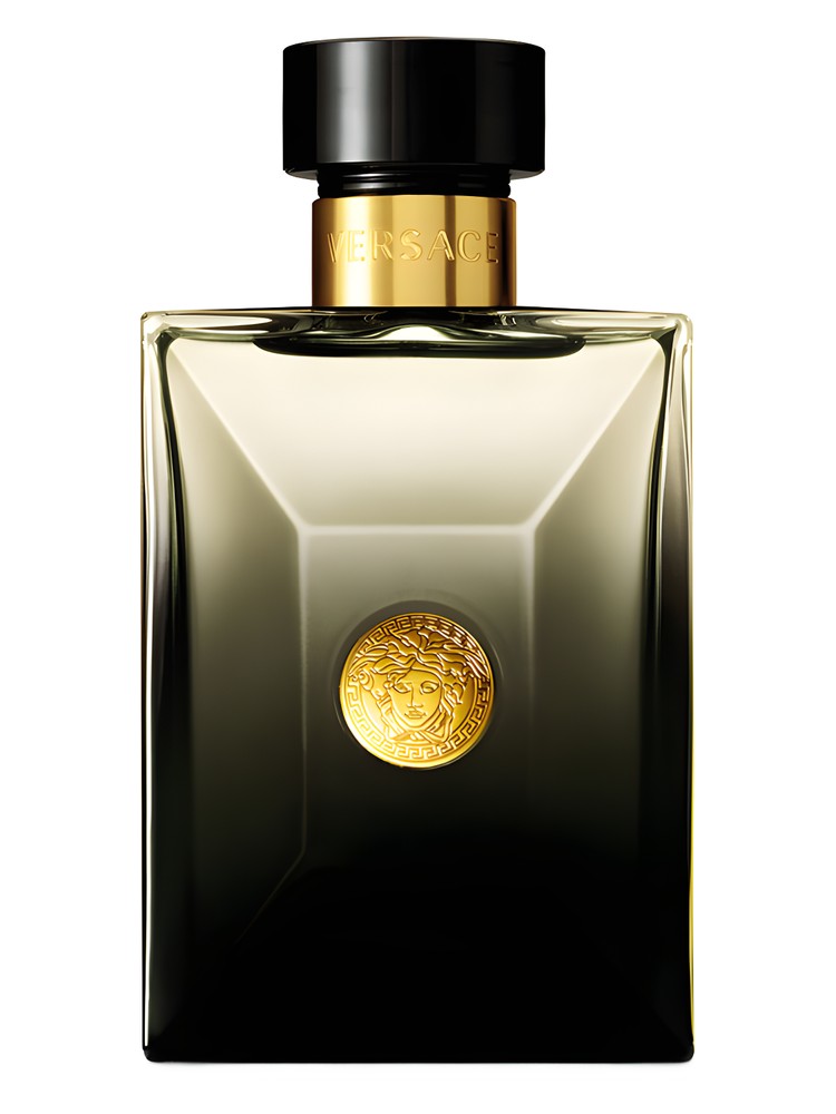 versace-pour-homme-oud-noir-versace عطر ادکلن ورساچه پورهوم عود نویر Pour Homme Oud Noir Versace - تصویر 1